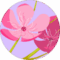Martilla 85 Avatar