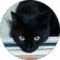Katty Avatar