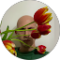 Francesco Paolo Cassano Avatar